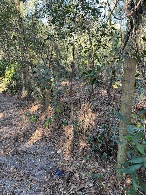 1918 Mountain Lake Cutoff Road Lake Wales, FL 33859 - Photo 32 of 38 a view of a yard with a tree