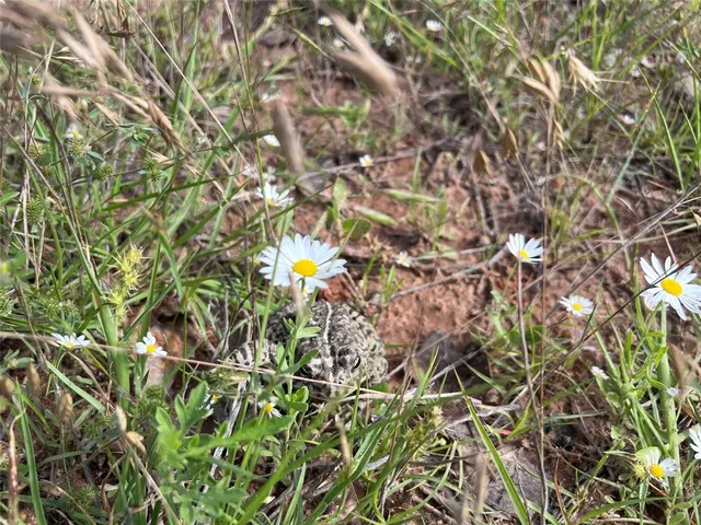 a view of a lake with a big yard