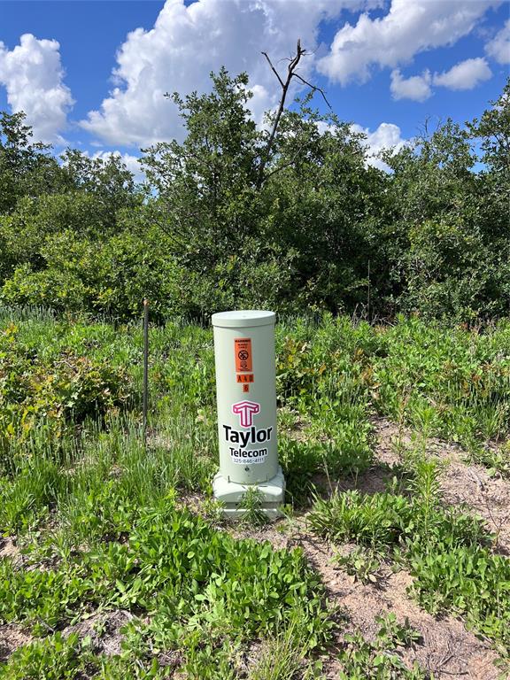 Tbd Lot 2 Tbd Trail Clyde, TX 79510 - Photo 6 of 14 a sign board with tall trees
