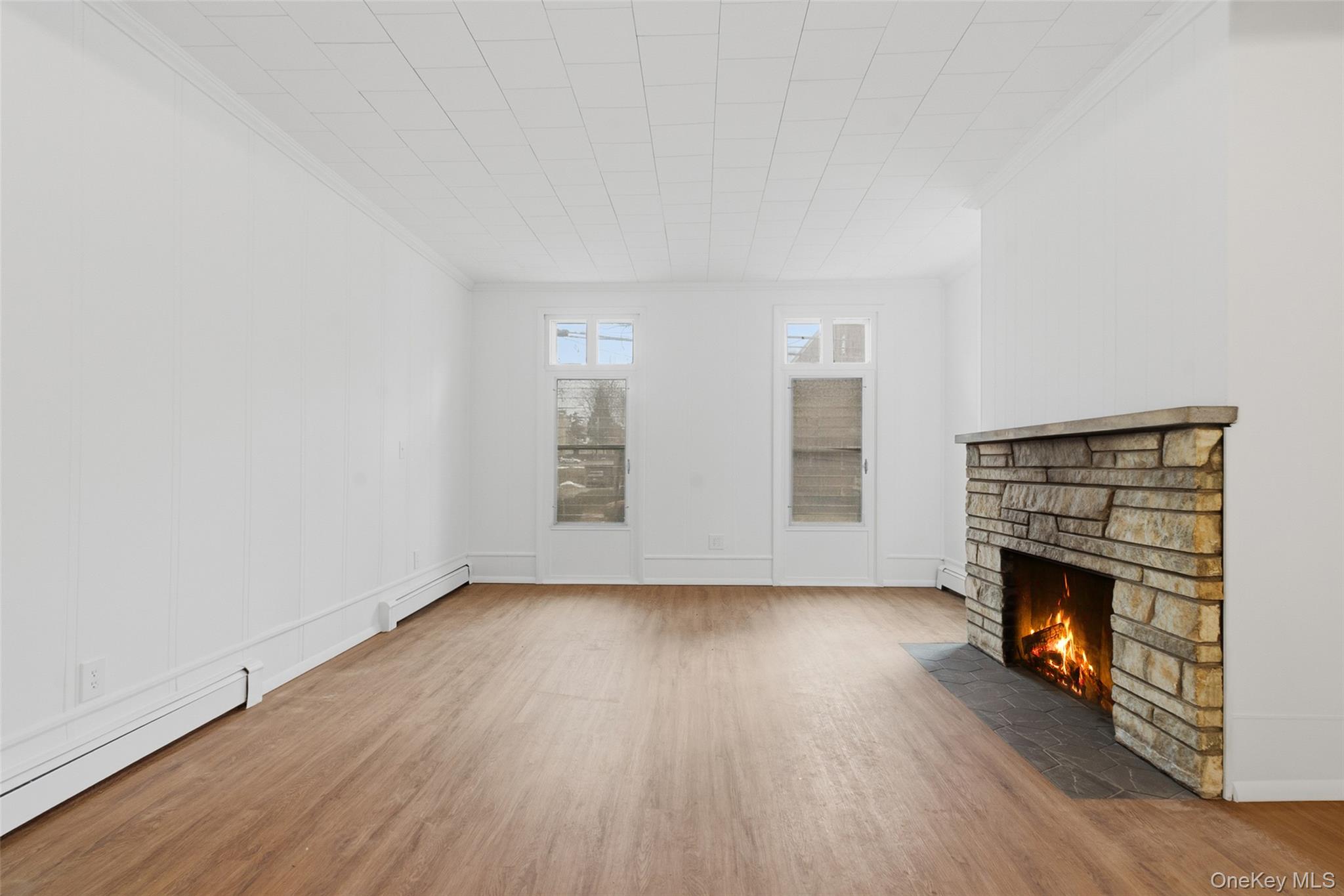 32 North Clover Street Poughkeepsie, NY 12601 - Photo 5 of 20 Unfurnished living room featuring wood finished floors, crown molding, a baseboard heating unit, and a fireplace