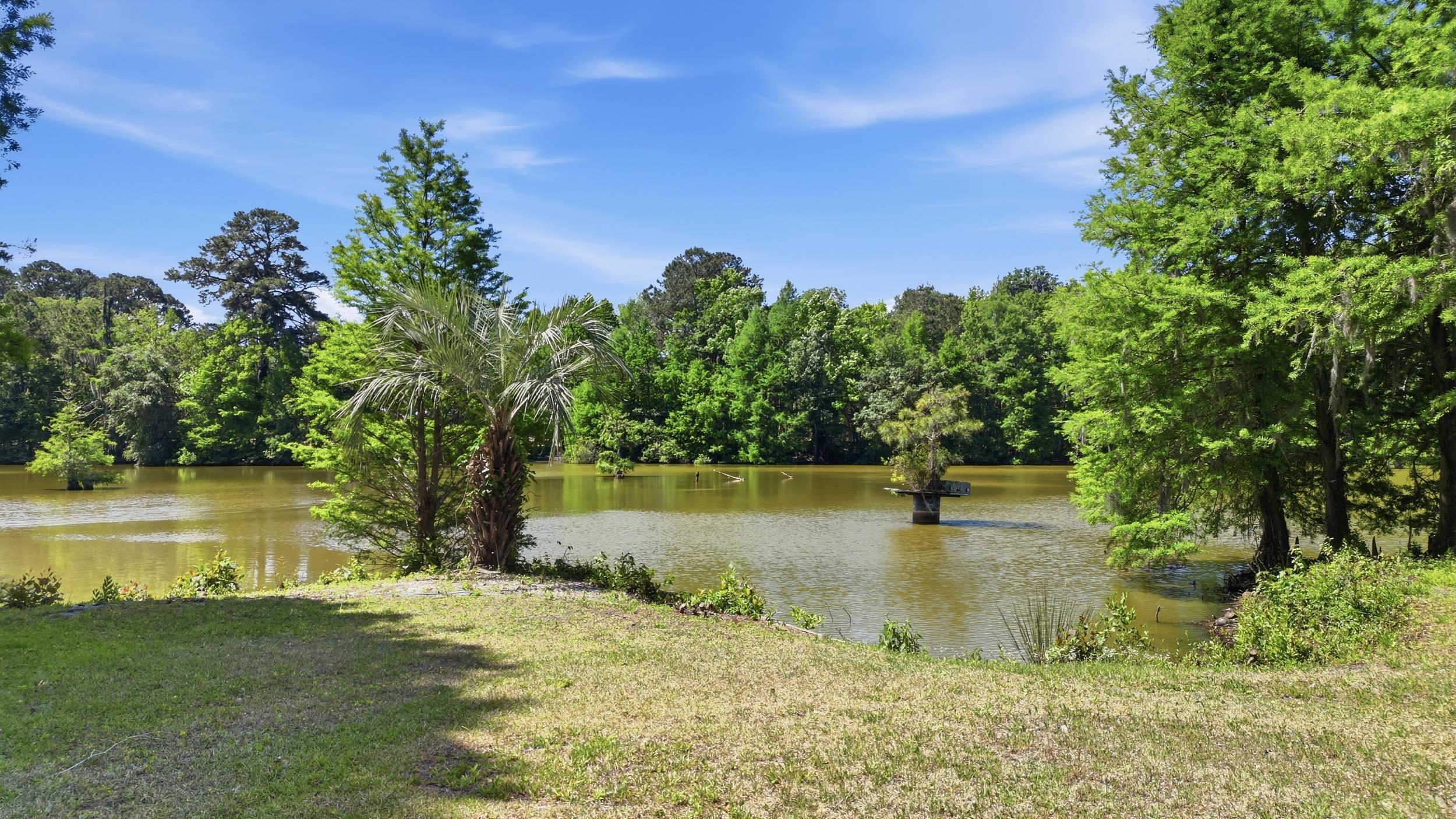 910 2nd Avenue Georgetown, SC 29440 - Photo 38 of 43