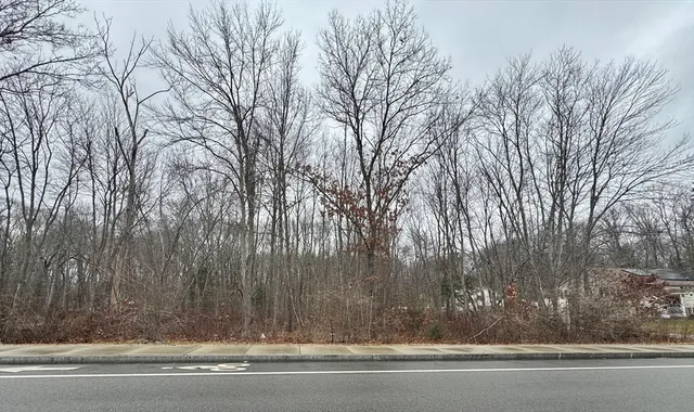 a view of a yard and trees