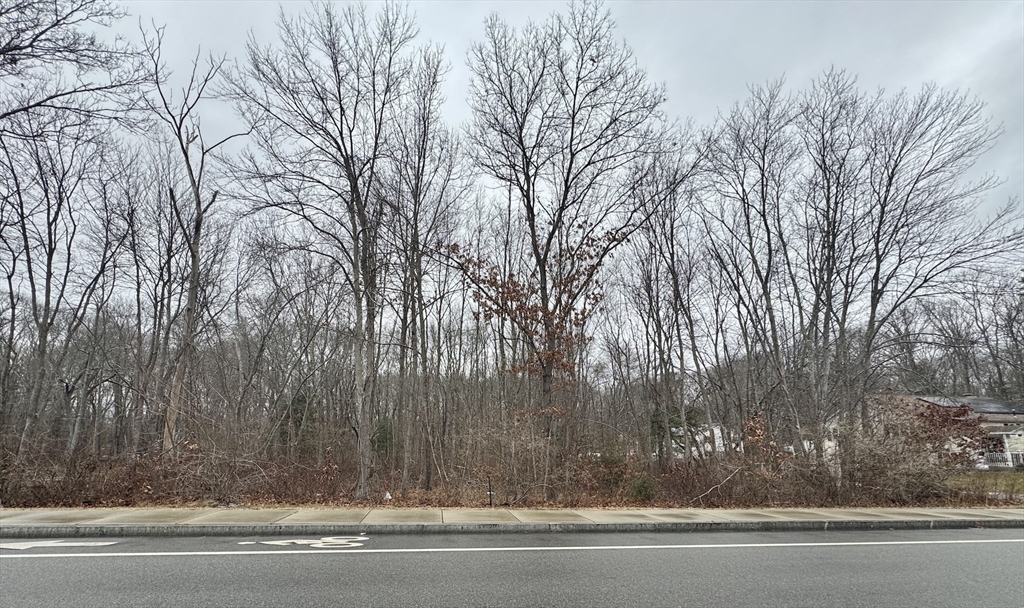 36 Lake Parkway Webster, MA 01570 - Photo 1 of 6 a view of a yard and trees