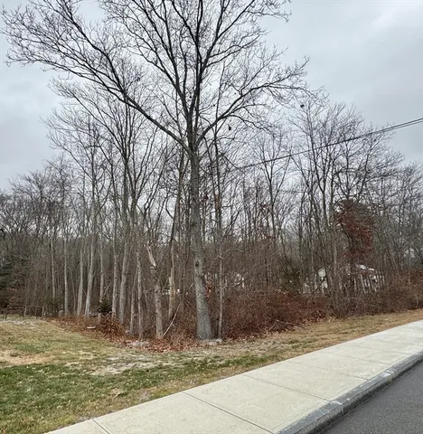 a view of a yard and tree