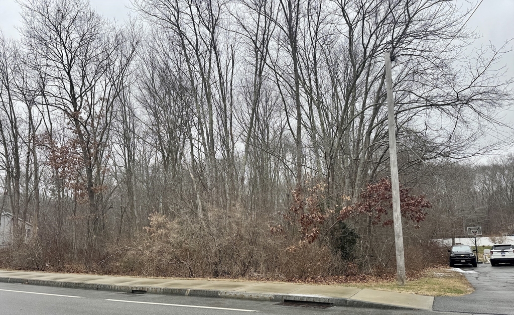 36 Lake Parkway Webster, MA 01570 - Photo 4 of 6 a view of a yard and tree