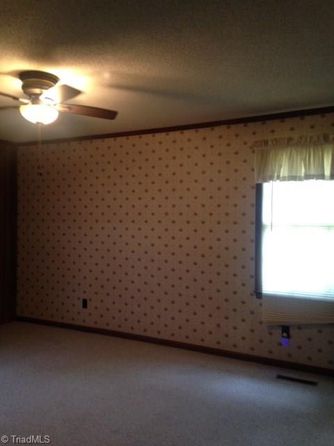 6286 Pleasant Grove Church Road Bennett, NC 27208 - Photo 13 of 18 Master bedrooms