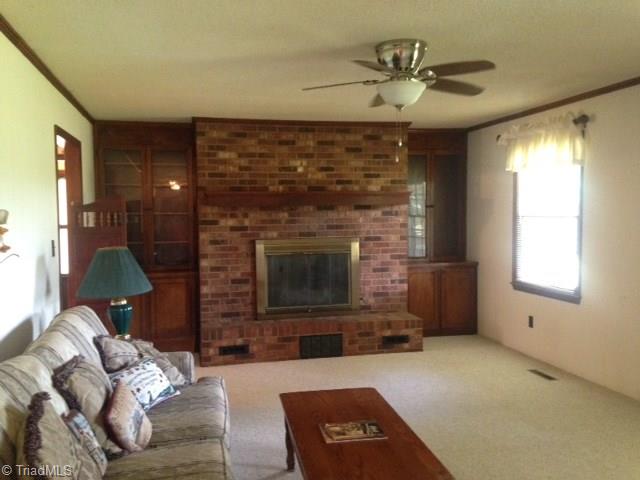 6286 Pleasant Grove Church Road Bennett, NC 27208 - Photo 9 of 18 living room with fireplace