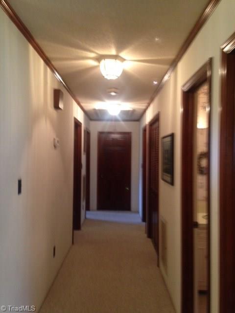 6286 Pleasant Grove Church Road Bennett, NC 27208 - Photo 10 of 18 wide hallway has 2 storage closets