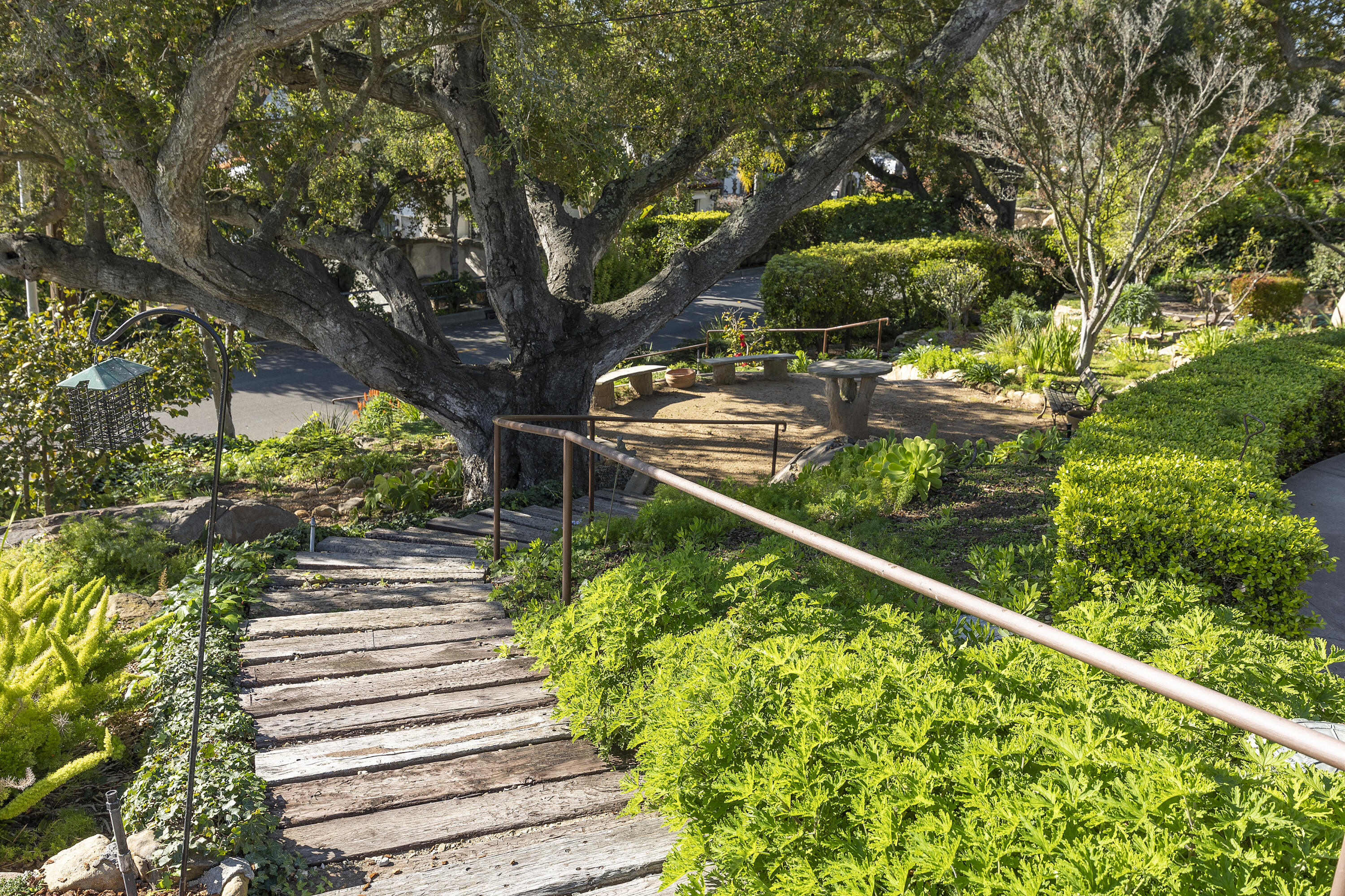 1320 Mission Ridge Road Santa Barbara, CA 93103 - Photo 20 of 27 a view of a yard with plants and a large tree