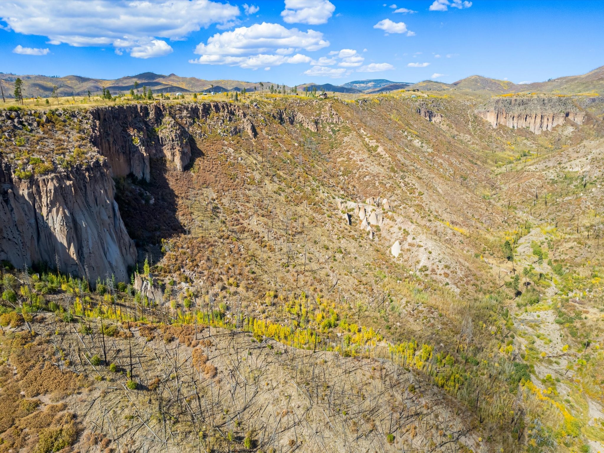 995 Forest Road, Unit 268 Jemez Springs, NM 87025 - Photo 15 of 24