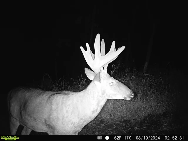 $119,900 | 0 Turben Ridge Road, Soldiers Grove, WI 54655