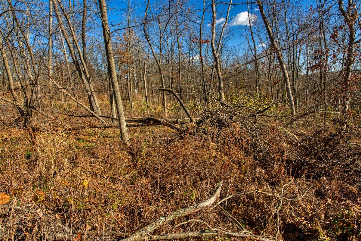 0 Turben Ridge Road Soldiers Grove, WI 54655 - Photo 16 of 27 18-DSC06635_16