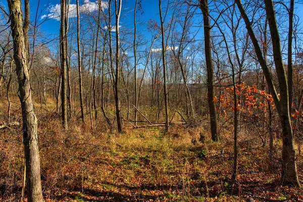 $119,900 | 0 Turben Ridge Road, Soldiers Grove, WI 54655