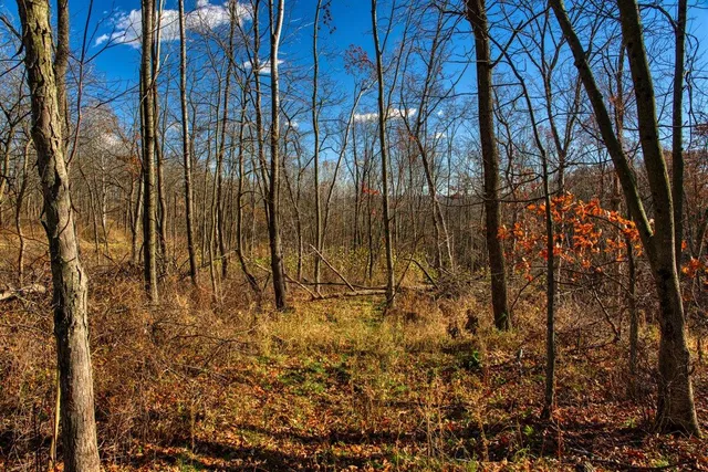 $119,900 | 0 Turben Ridge Road, Soldiers Grove, WI 54655