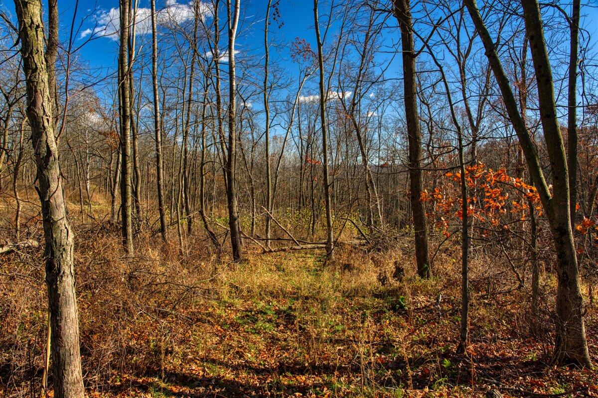 0 Turben Ridge Road Soldiers Grove, WI 54655 - Photo 18 of 27 16-DSC06629_10