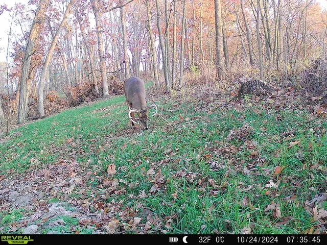 $119,900 | 0 Turben Ridge Road, Soldiers Grove, WI 54655