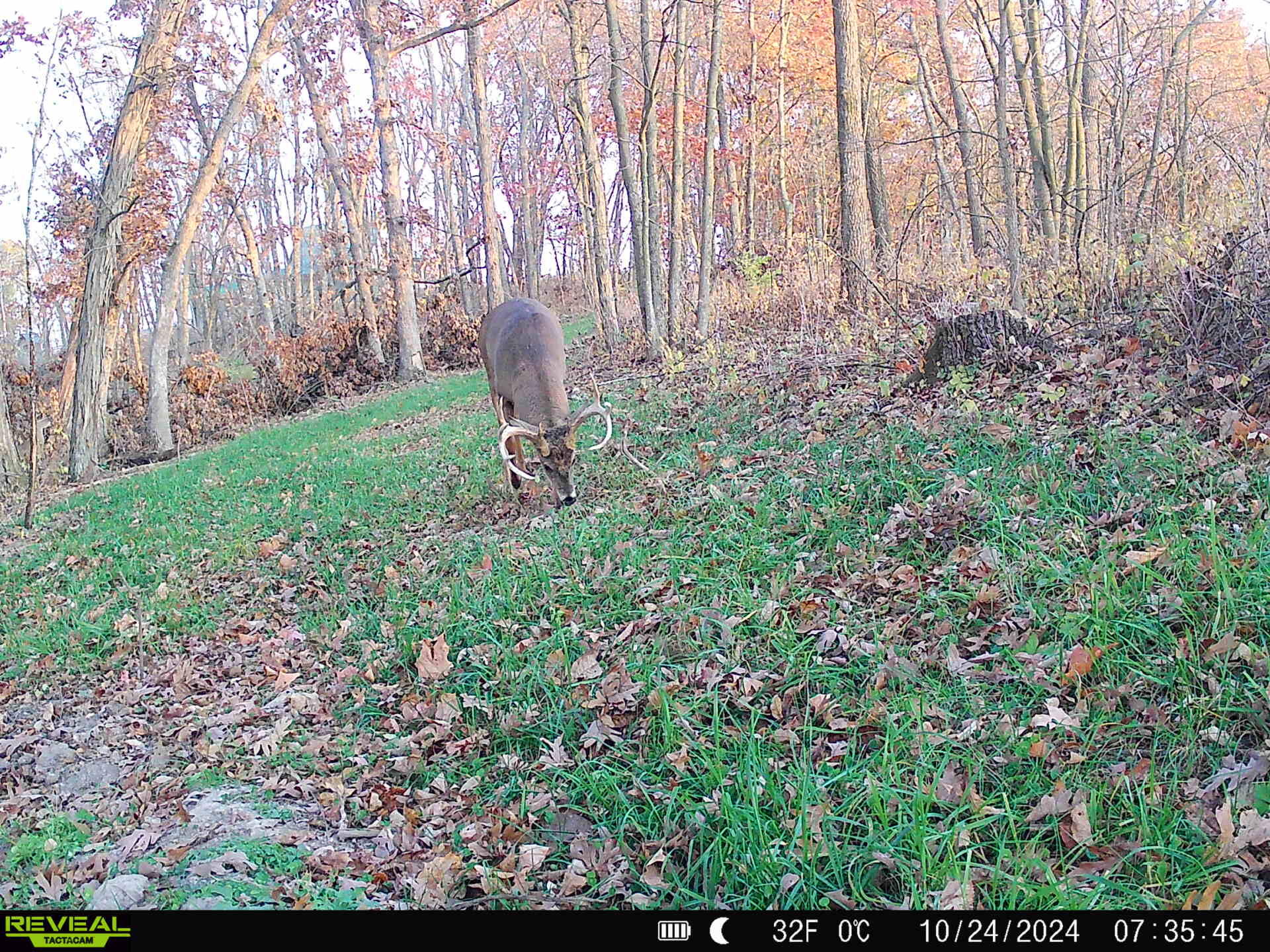 0 Turben Ridge Road Soldiers Grove, WI 54655 - Photo 19 of 27 IMG_20251209_091756 (12)