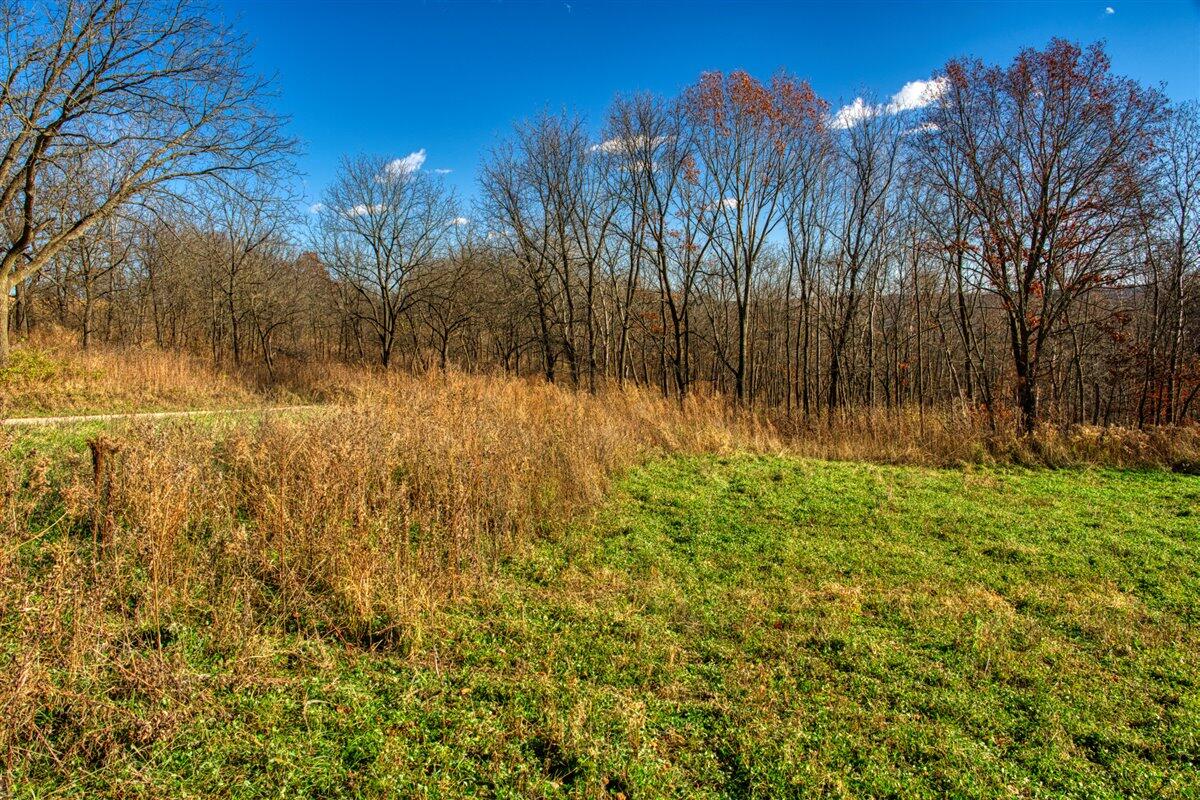 0 Turben Ridge Road Soldiers Grove, WI 54655 - Photo 22 of 27 14-DSC06622_3