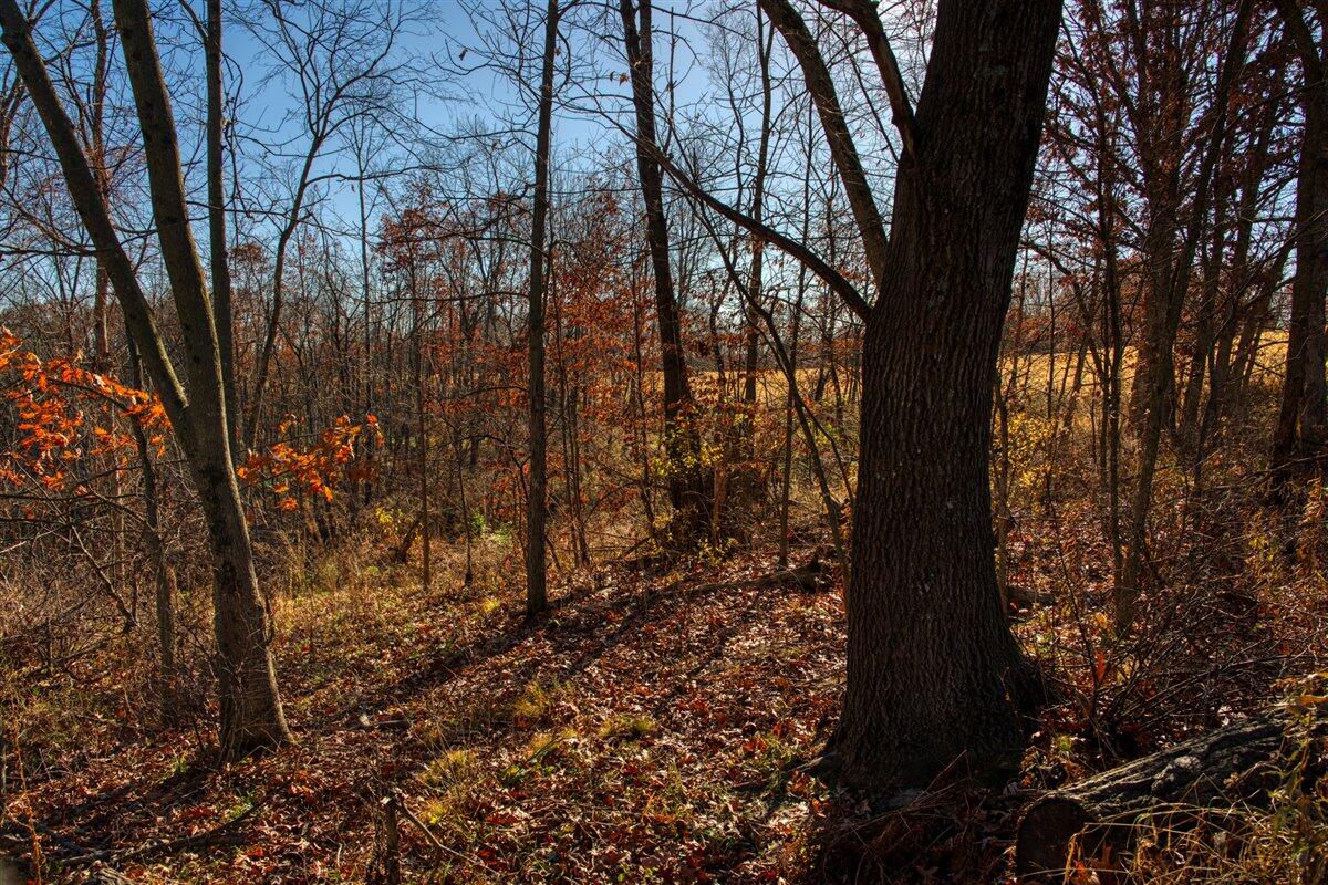 0 Turben Ridge Road Soldiers Grove, WI 54655 - Photo 23 of 27 17-DSC06631_12