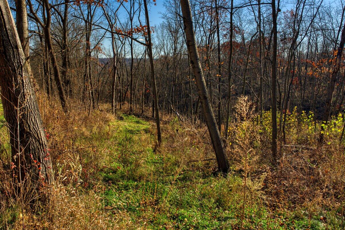 0 Turben Ridge Road Soldiers Grove, WI 54655 - Photo 25 of 27 22-DSC06649_30