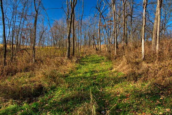 $119,900 | 0 Turben Ridge Road, Soldiers Grove, WI 54655