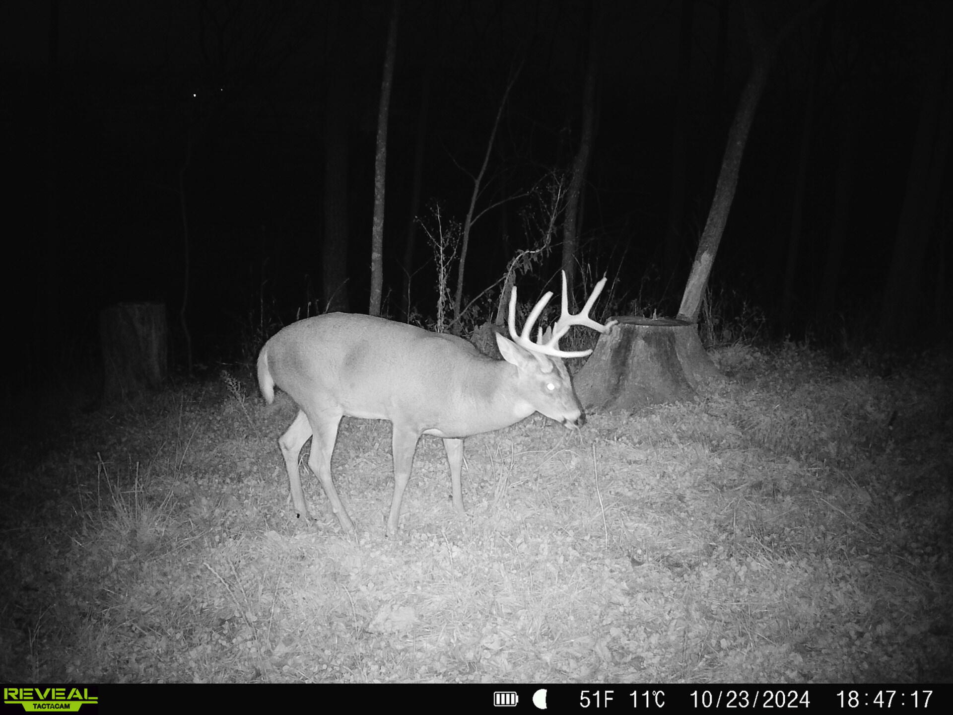 0 Turben Ridge Road Soldiers Grove, WI 54655 - Photo 4 of 27 IMG_20251209_091756 (9)