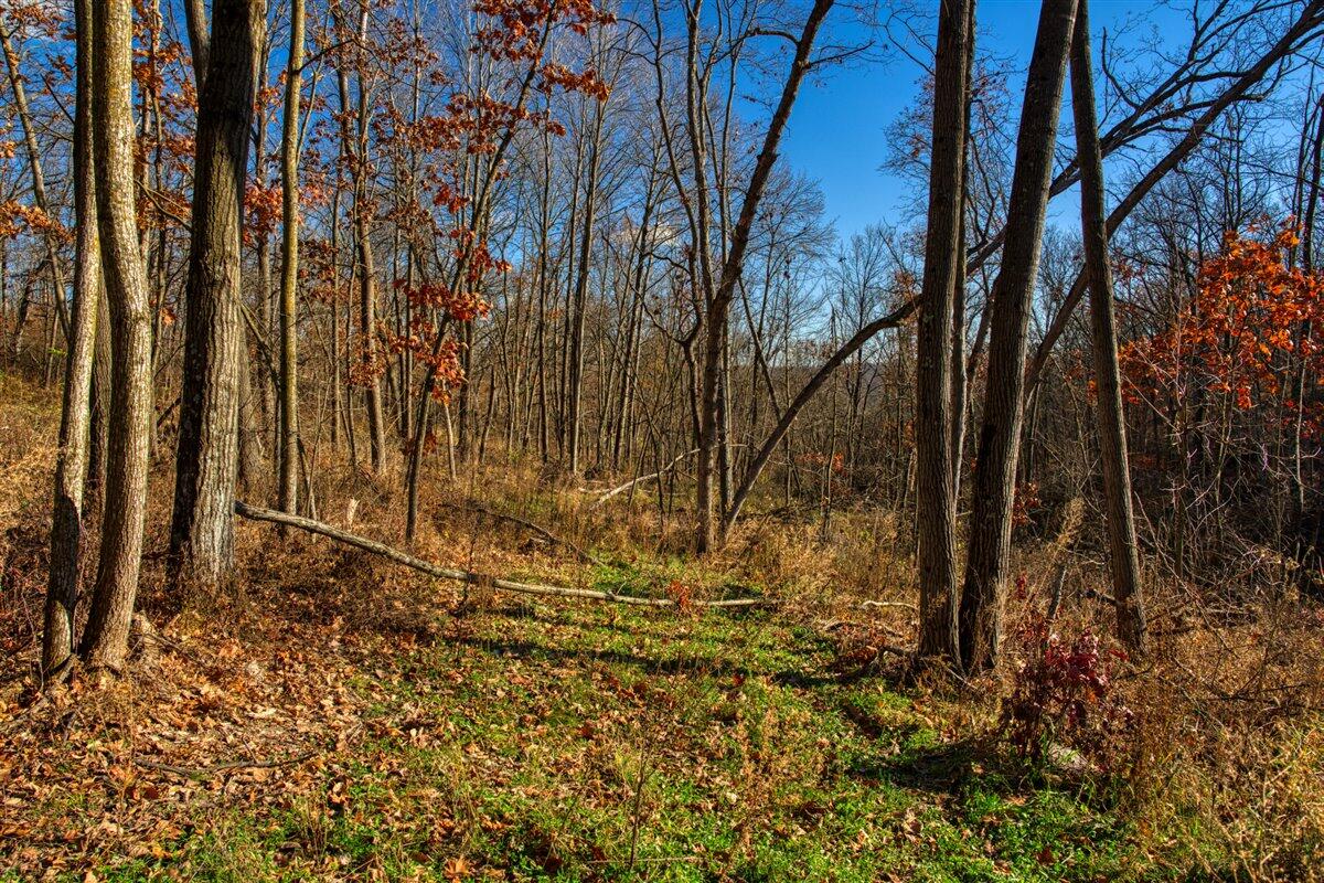 0 Turben Ridge Road Soldiers Grove, WI 54655 - Photo 6 of 27 27-DSC06659_40