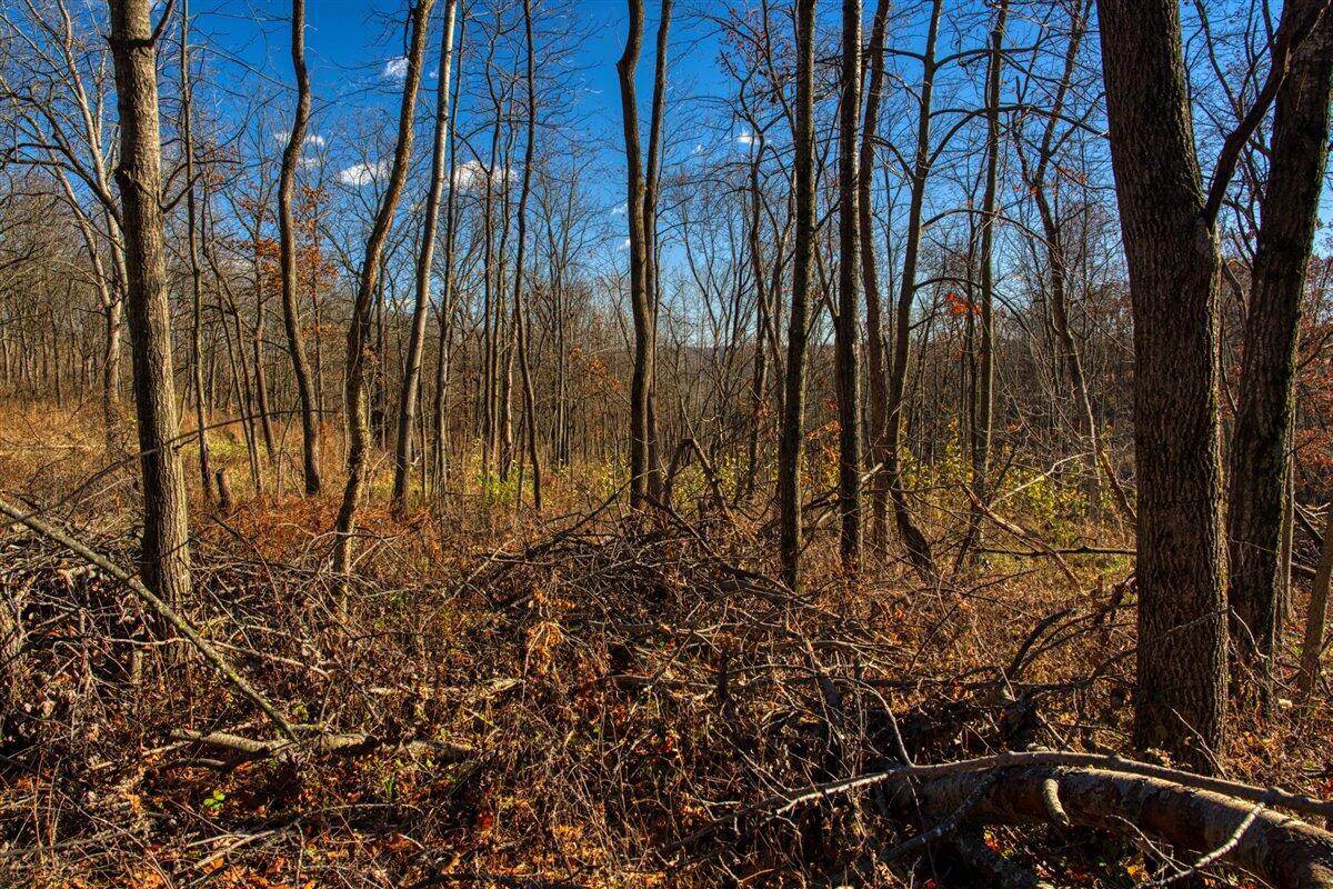 0 Turben Ridge Road Soldiers Grove, WI 54655 - Photo 8 of 27 21-DSC06645_26