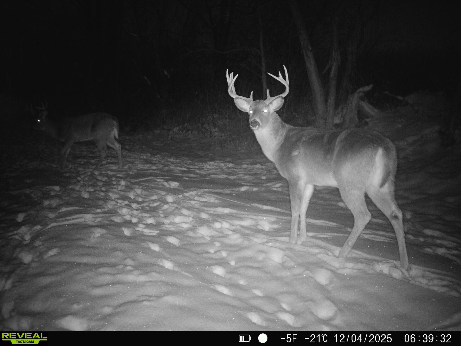 0 Turben Ridge Road Soldiers Grove, WI 54655 - Photo 9 of 27 IMG_20251209_091756 (1) (7)
