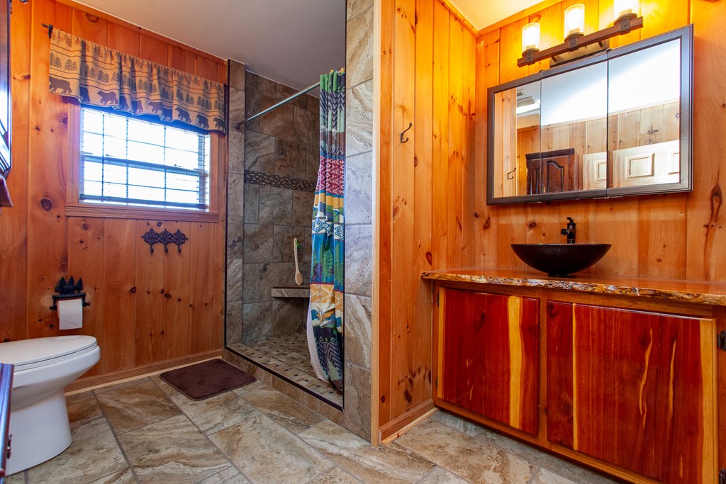 1158 Upper Bear Paw Road Murphy, NC 28906 - Photo 22 of 52 Gallery Image 22