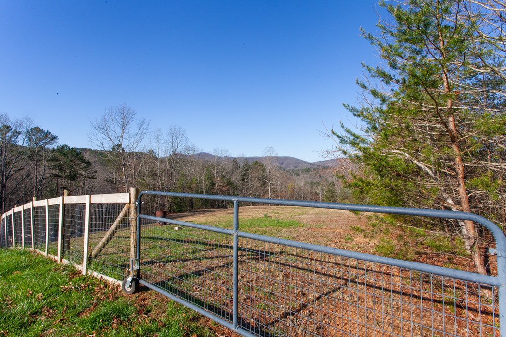 1158 Upper Bear Paw Road Murphy, NC 28906 - Photo 42 of 52 Gallery Image 42
