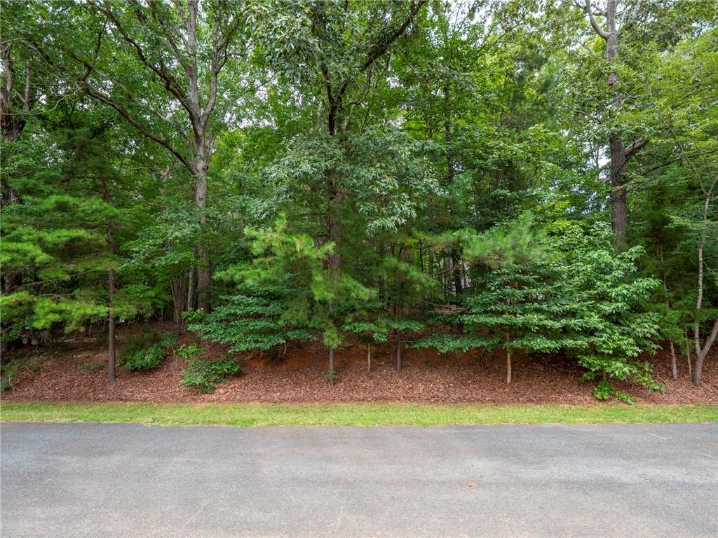 0 Wingard Road, Unit 86 Waxhaw, NC 28173 - Photo 11 of 20 Gallery Image 11