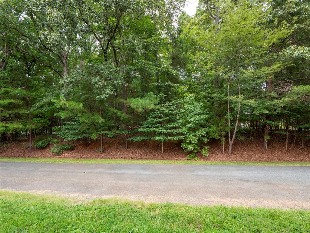 0 Wingard Road, Unit 86 Waxhaw, NC 28173 - Photo 2 of 20 Gallery Image 2