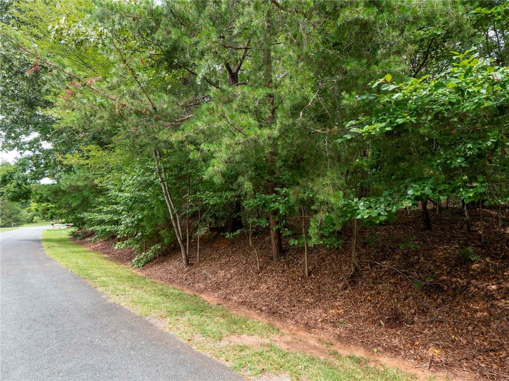0 Wingard Road, Unit 86 Waxhaw, NC 28173 - Photo 4 of 20 Gallery Image 4