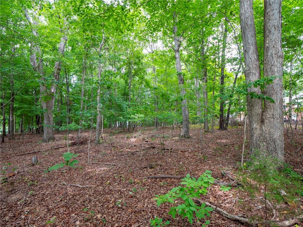 0 Wingard Road, Unit 86 Waxhaw, NC 28173 - Photo 5 of 20 Gallery Image 5