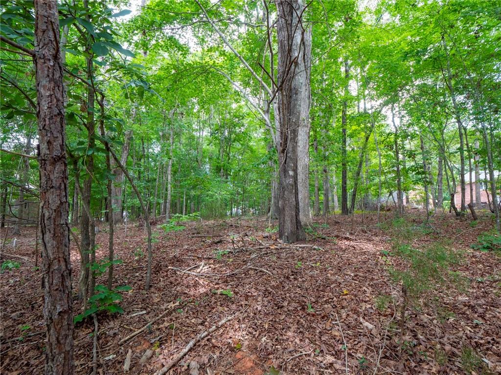 0 Wingard Road, Unit 86 Waxhaw, NC 28173 - Photo 6 of 20 Gallery Image 6