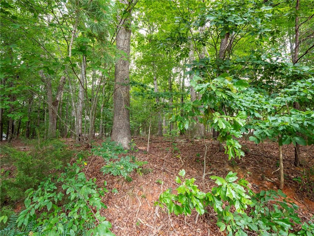 0 Wingard Road, Unit 86 Waxhaw, NC 28173 - Photo 8 of 20 Gallery Image 8