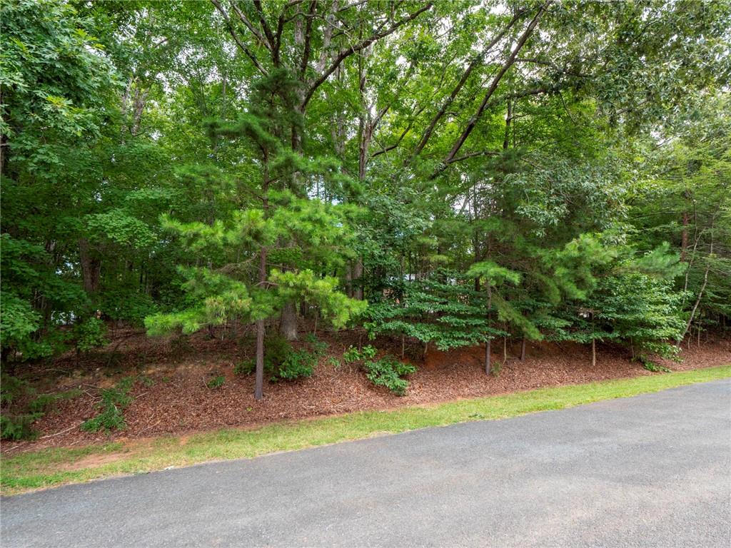 0 Wingard Road, Unit 86 Waxhaw, NC 28173 - Photo 9 of 20 Gallery Image 9
