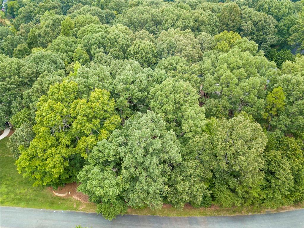 0 Wingard Road, Unit 86 Waxhaw, NC 28173 - Photo 10 of 20 Gallery Image 10