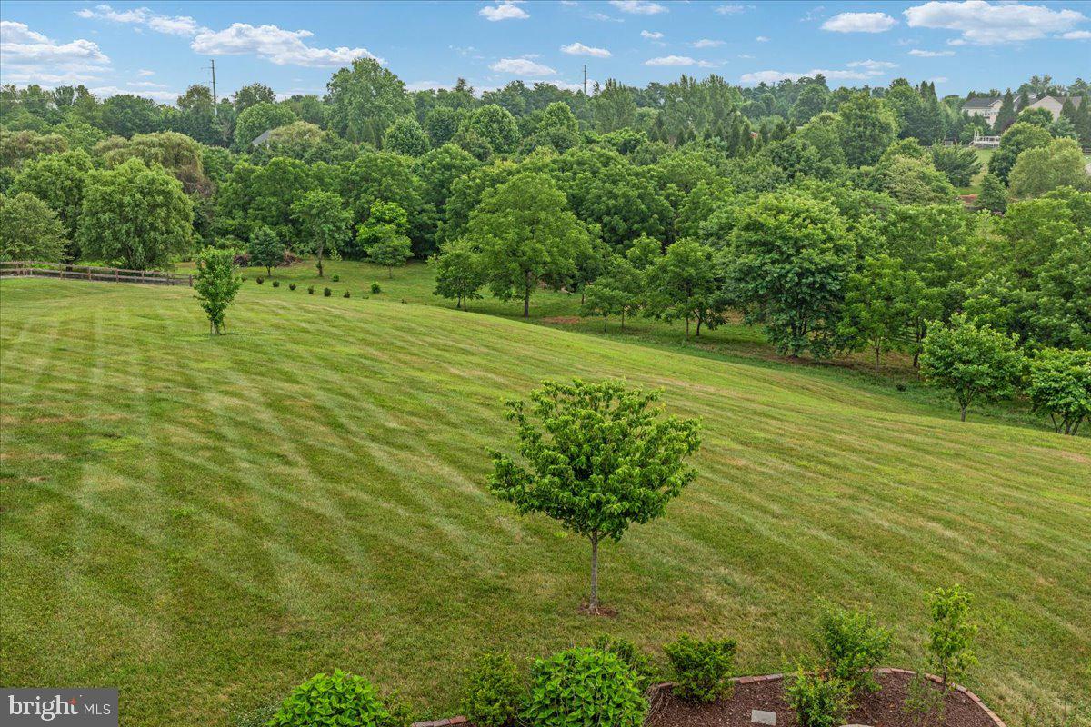 38786 Rambling Farm Drive Hamilton, VA 20158 - Photo 76 of 97
