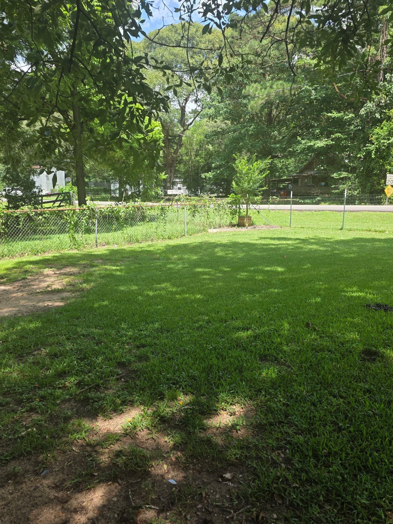 11 Pine Road Coldspring, TX 77331 - Photo 23 of 32 a view of a park