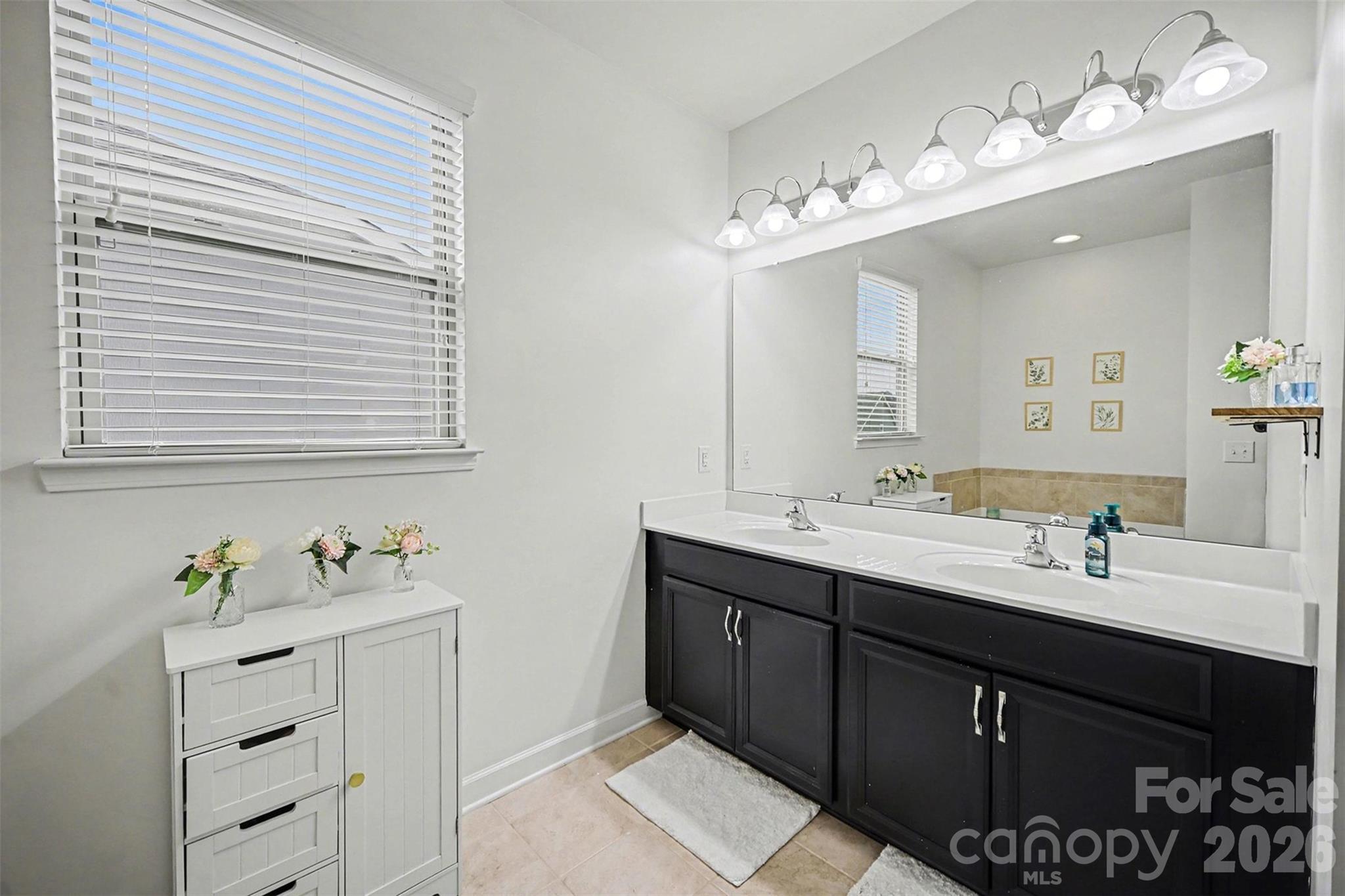 18314 McKee Road Charlotte, NC 28278 - Photo 25 of 37 a bathroom with a sink vanity and a mirror