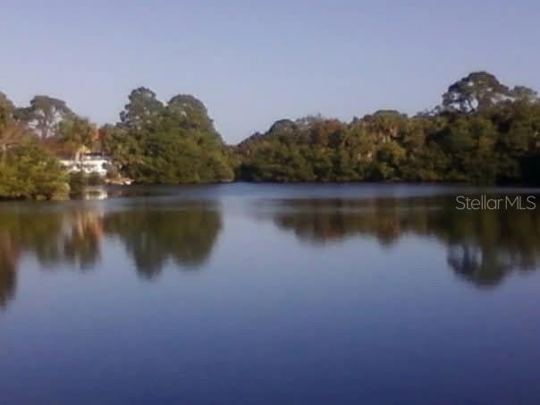 4935 Largo Terrace New Port Richey, FL 34652 - Photo 3 of 21