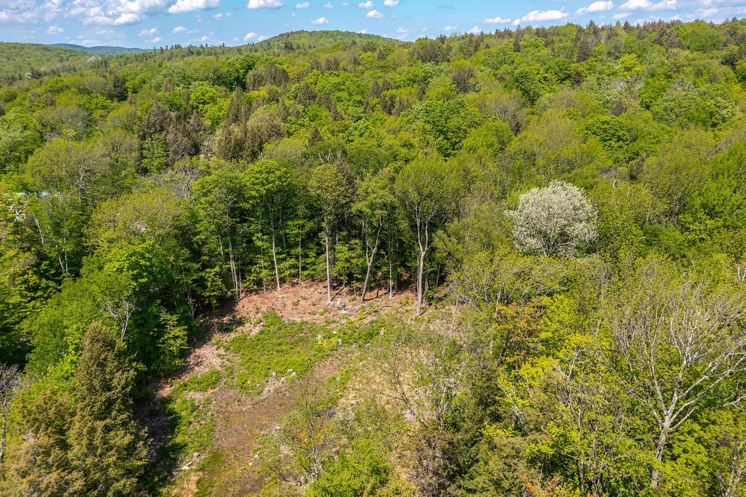 585 Sawmill Road West Wardsboro, VT 05360 - Photo 2 of 15