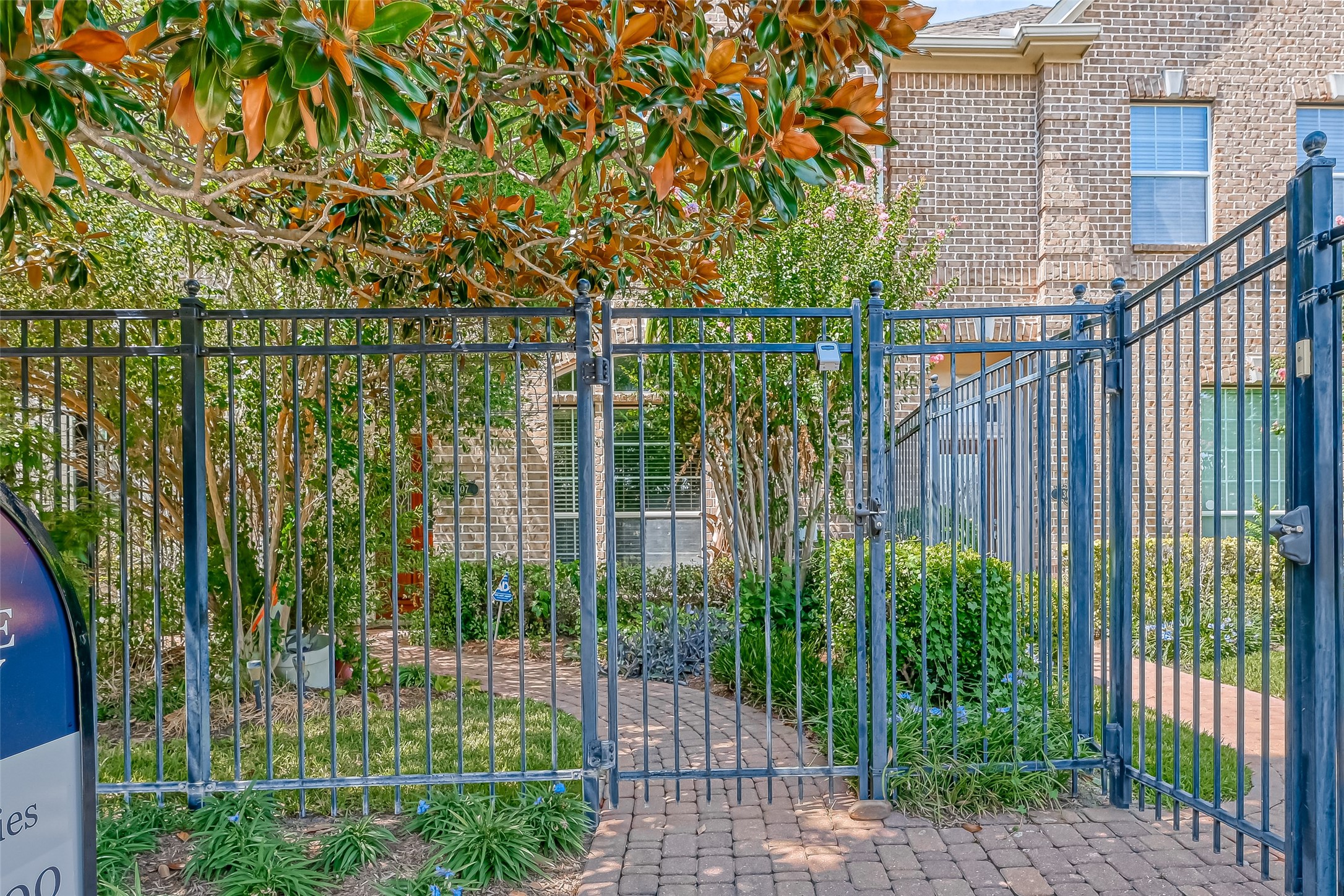 a garden view with a garden
