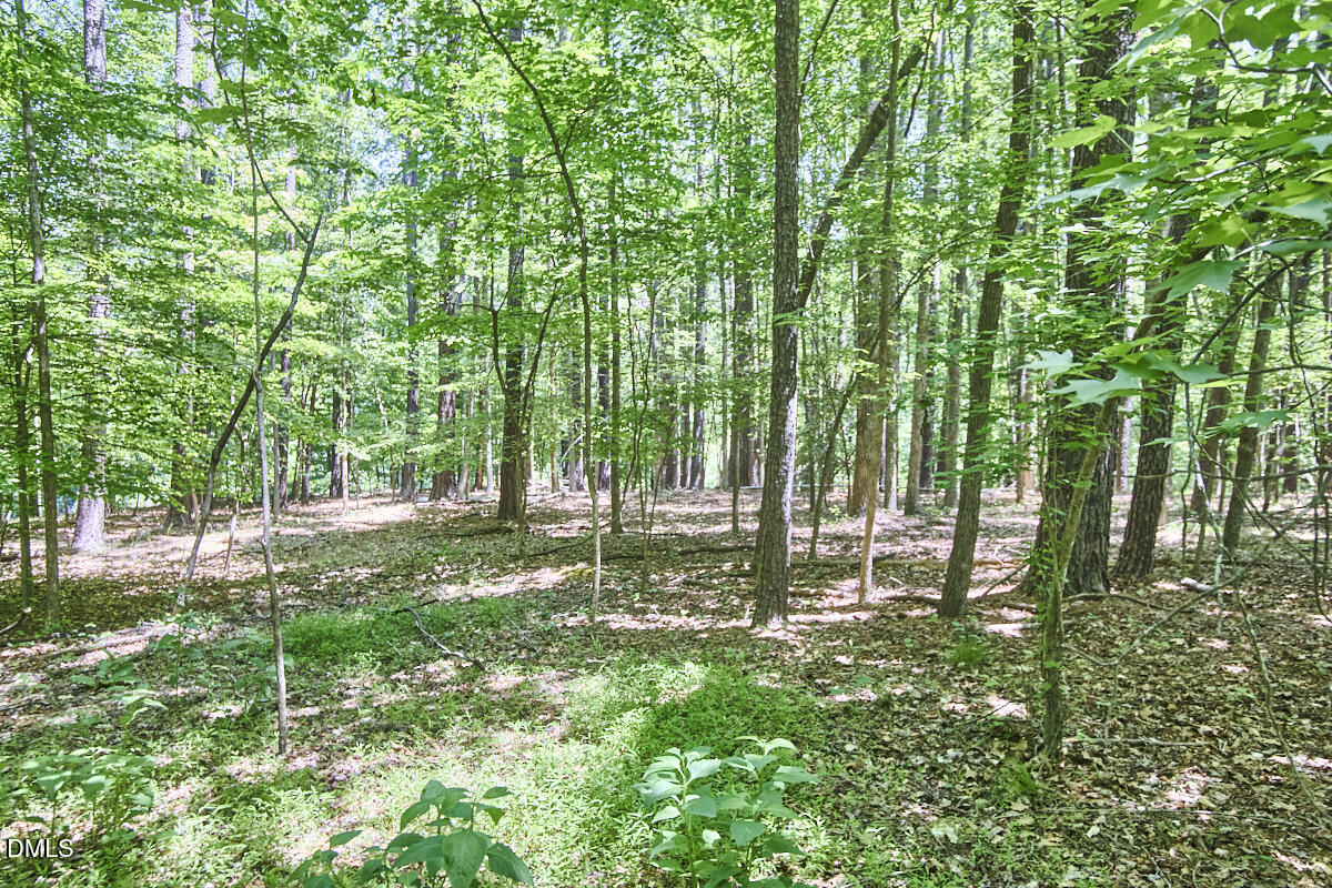 4204 Kerley Road Durham, NC 27705 - Photo 25 of 34 a view of lush green forest