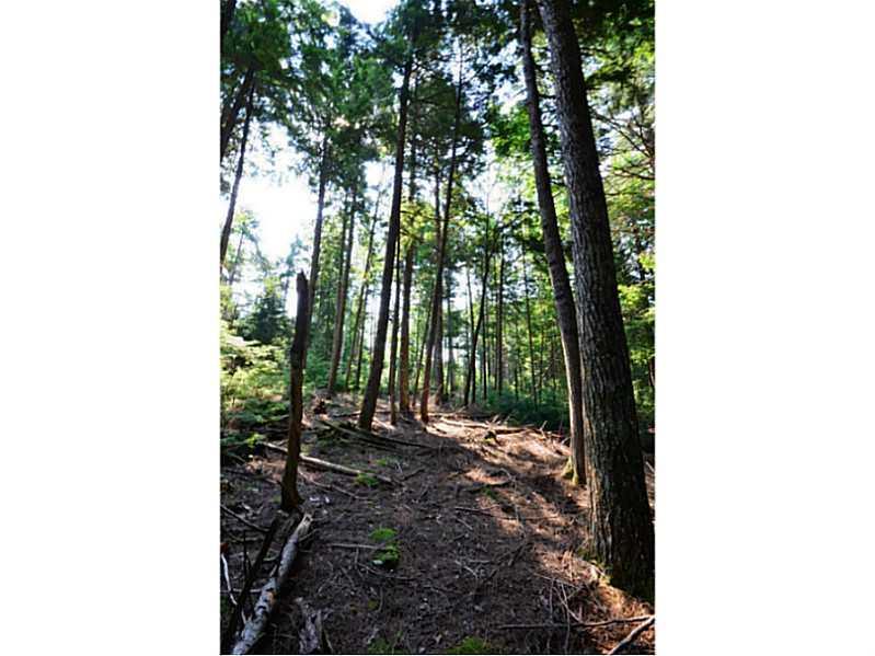 Off Burlington Beach Road Burlington, ME 04417 - Photo 21 of 34 Land/Lot.