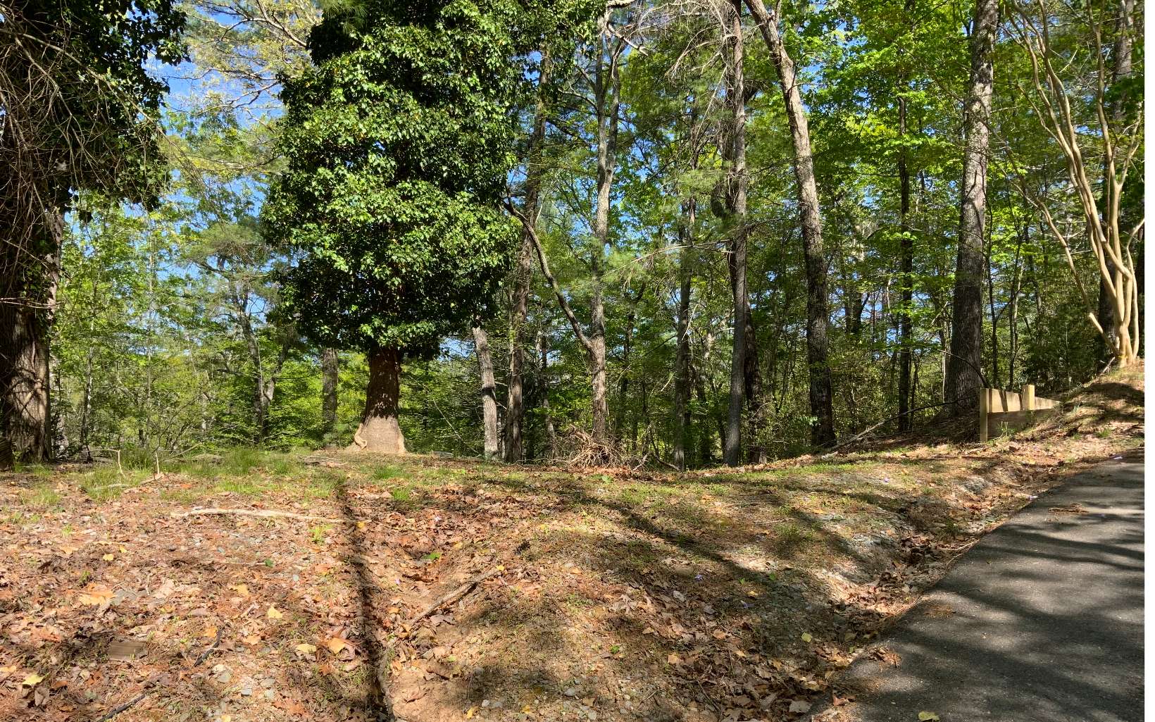 Additional View