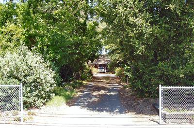 1552 Fulton Road Santa Rosa, CA 95403 - Photo 4 of 5 a view of a yard with plants and trees