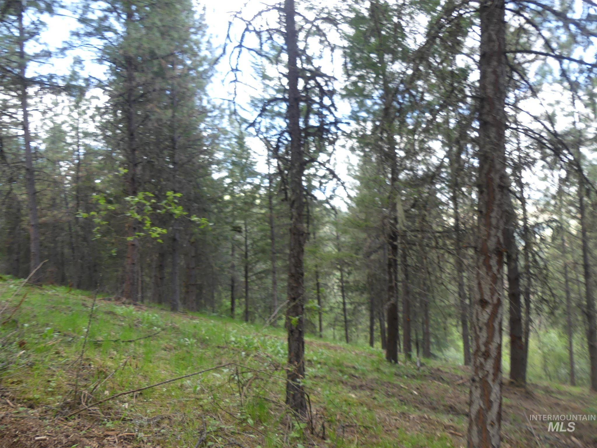 22743 Old Melrose Grade Road Peck, ID 83545 - Photo 20 of 45